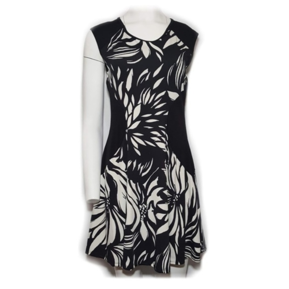 Delaine Black and White Dress
